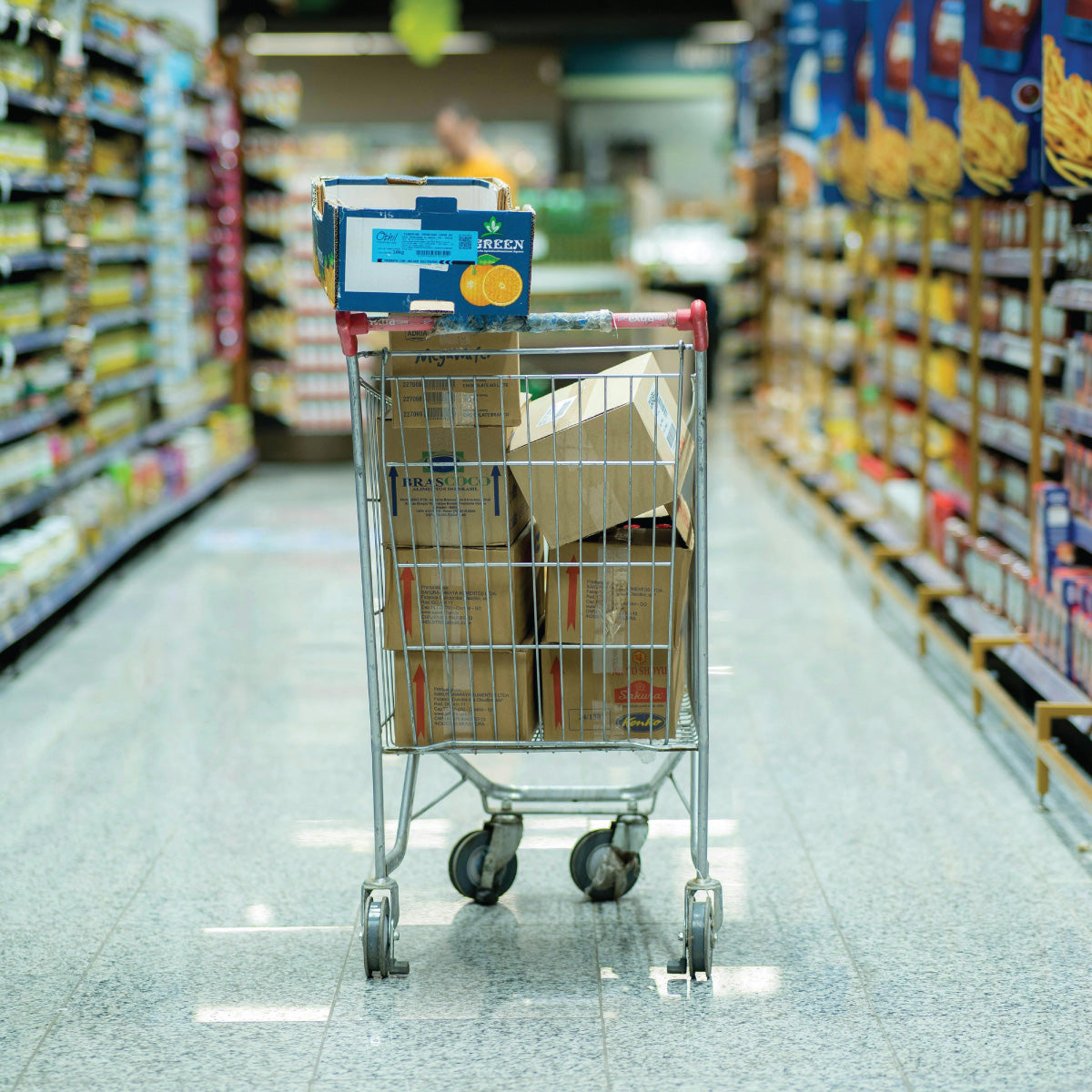 E-Consumer Pulse:  Grocery Deep Dive (September 2024 Report)