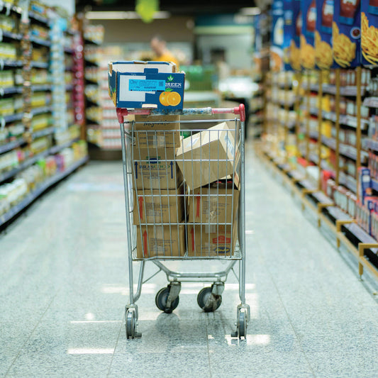 E-Consumer Pulse:  Grocery Deep Dive (December 2024 Report)